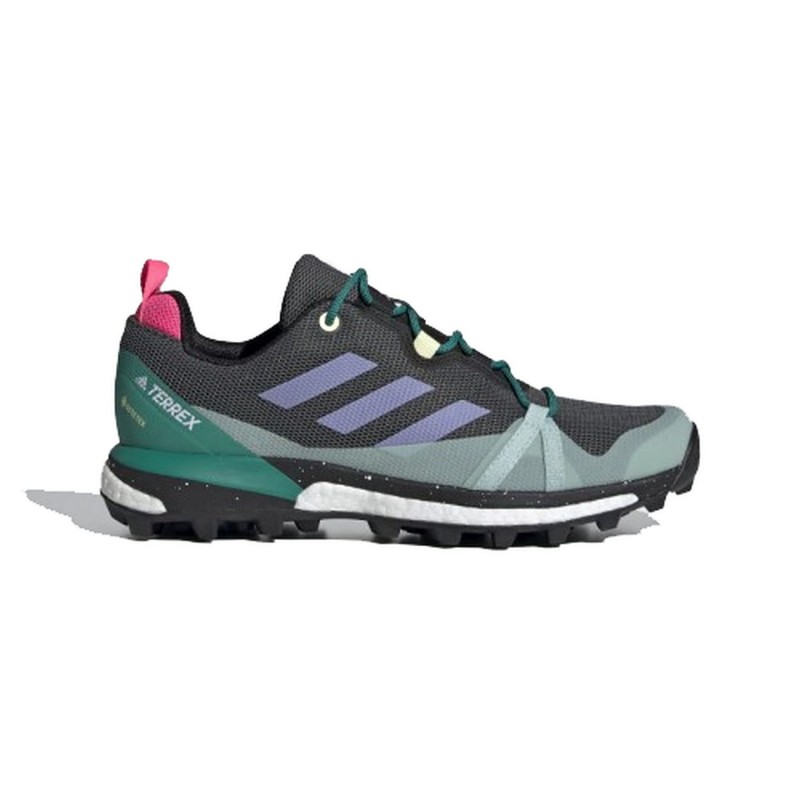 adidas Performance Terrex Skychaser Lt Gtx W