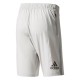 adidas Performance Crazytrain Shorts