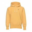 Reverse Weave Small Logo Hooded Sweatshirt