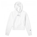 Reverse Weave Cropped Small Script Logo Hooded Sweatshirt