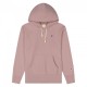 Champion Reverse Weave Small Logo Hooded Sweatshirt