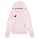 Reverse Weave Script Logo Hooded Sweatshirt