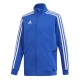 adidas Performance Tiro19 Tr Jkty