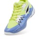 Puma Genetics